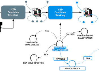 1p3hg9gab4 Dvgl1teatwvw.png