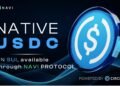 Native Usdc On Sui Network Now Available Through The Navi Protocol.jpg