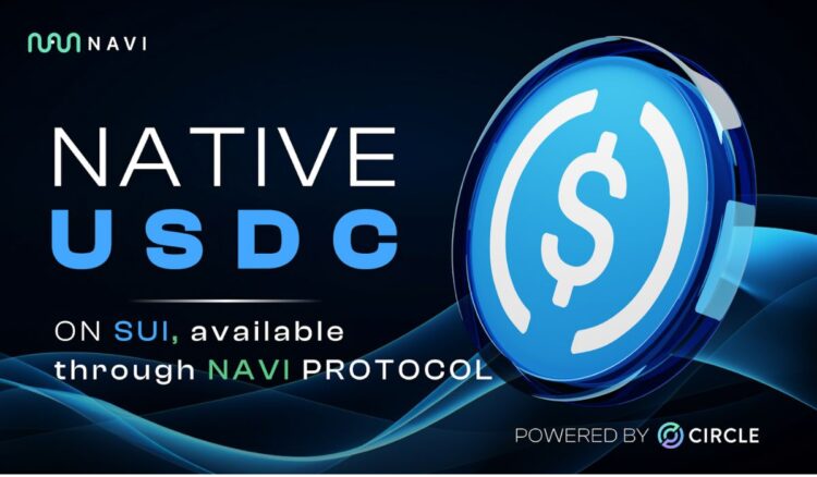 Native Usdc On Sui Network Now Available Through The Navi Protocol.jpg