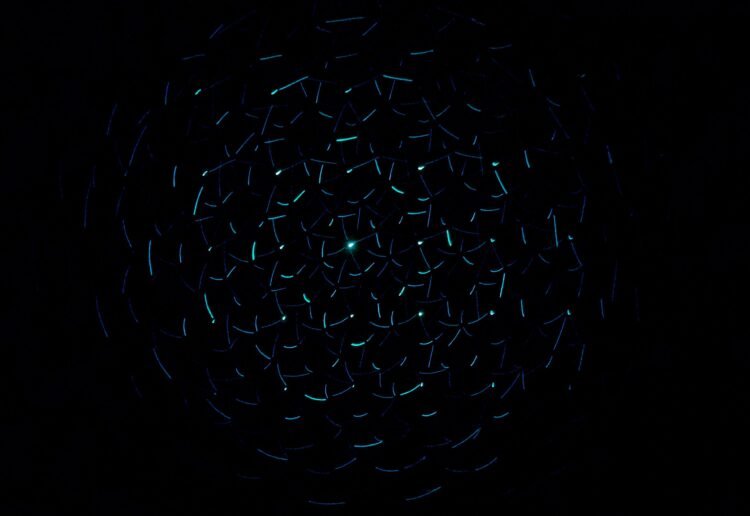 Aron Visuals Bzzp1pmhi0e Unsplash 2 Scaled.jpg