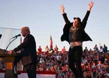 Trumpti 1 800x420.jpg