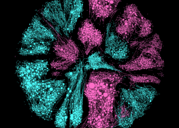 1 Sodirwx8fvlnbhfjwpggg.png