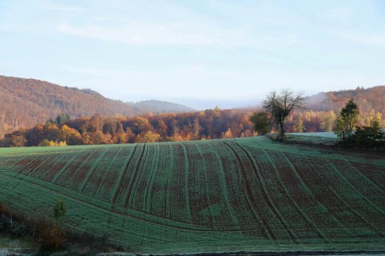 1r Tjzmdbjdcdhcy Yonmgq.jpeg