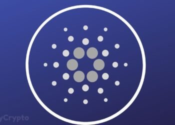 Ada Shows Strong Whale Activity Amid Cardano Becoming The Face Of Argentinas First Legitimate Smart Contract.jpg