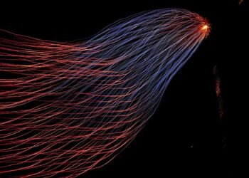 0kkbg W7oalsleney.jpeg