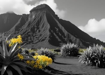 1jamrs Bhydr6ymm7yky2lw.jpeg