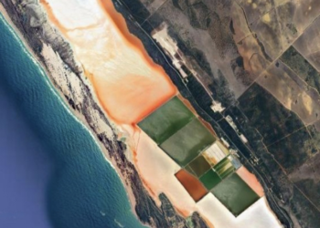 1ag0wm 9ruieosxfywxqn2g.png