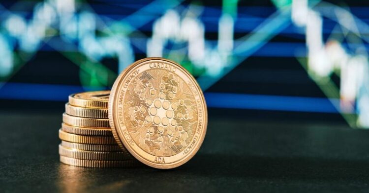 30b01497 Bfeb 49a0 Aca0 Ab5a3ce853e7 800x420.jpg