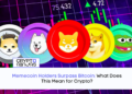 Memecoin Holders Surpass Bitcoin 1.png