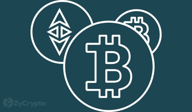 Trump Taps Into Crypto Craze By Accepting Bitcoin Ether Solana Shiba Inu Dogecoin Donations.jpg