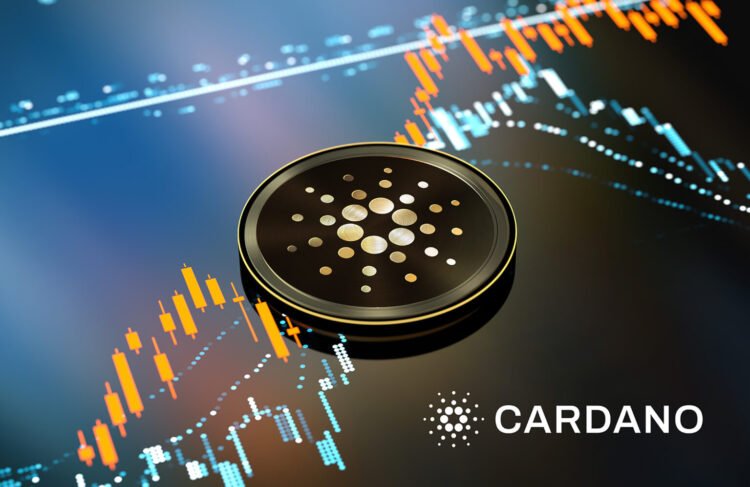 Cardano 1536x997 1.jpg