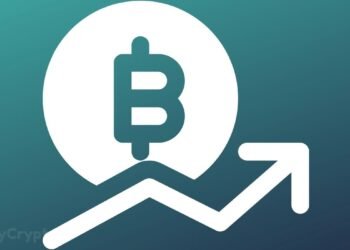 Edward Snowden Believes Bitcoin Has Emerged Stronger From Chinas Crypto Ban.jpg