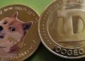 Dogecoin Id Bfce8365 4d5a 4931 8abe 6378a9ee0876 Size900.jpg