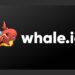 Whale.io Announces Shift From Telegram To Focus On Web.jpg