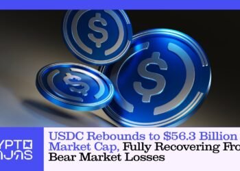 Usdc Rebounds To 56 3 Billion Market Cap.jpg