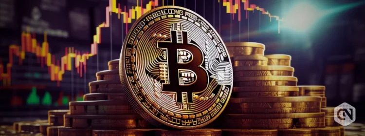 Btc On Exchanges Drops For Two Weeks As Bitcoin Sees Second Largest Bull Cycle Losses.webp.webp