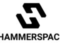 Hammerspace Logo 2 1 1124.png