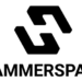 Hammerspace Logo 2 1 1124.png
