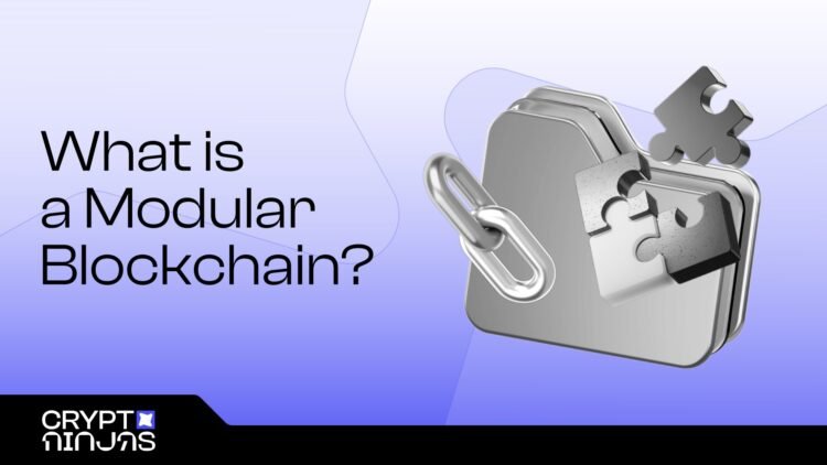 What Is A Modular Blockchain.jpeg