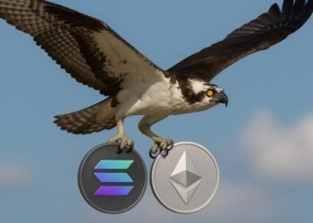 55938779 64df 4cb0 87da 03a61206fab2 800x420.jpg