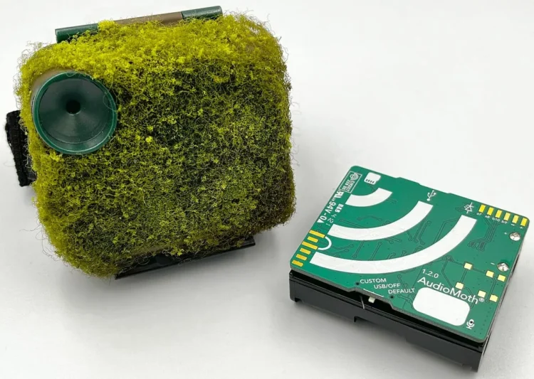 Audiomoth.webp.webp