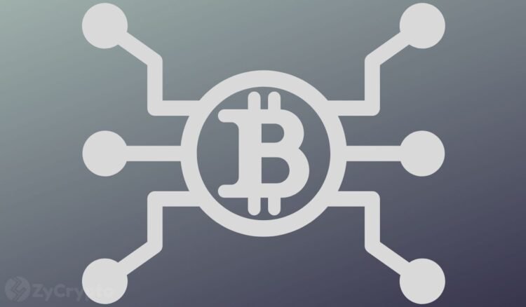 Americans could use bitcoin to pay federal income taxes if this new bill becomes law.jpg