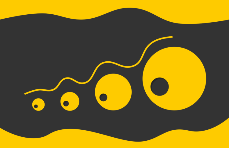 Fastsam scaled 1.png