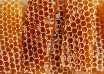 Cristina marin prs2m3ki9d0 unsplash scaled.jpg