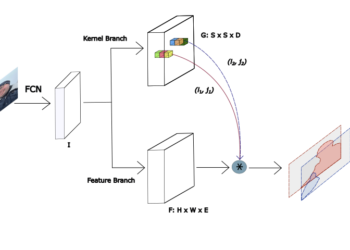 Dynamic solo plot my photo.png