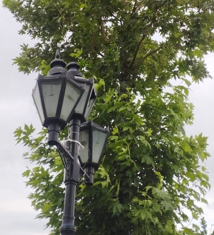 1755344612226 scaled e1755948435333.jpg