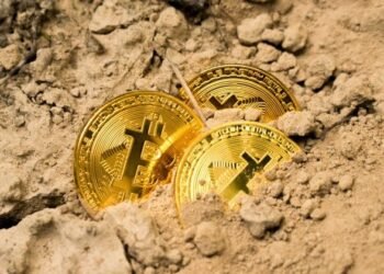 6d0c0404 8155 48c9 a463 edb864c1e7e4 800x420.jpg