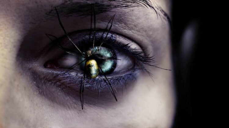 Shutterstock eye spider.jpg