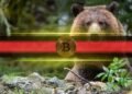 Bitcoin bear.jpg