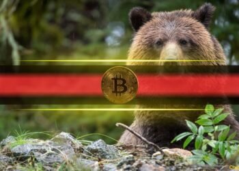 Bitcoin bear.jpg