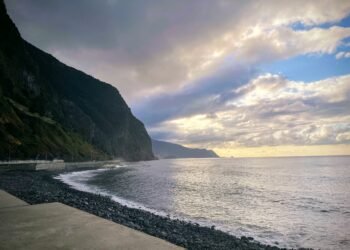 Img 1821 effects scaled 1.jpg