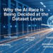 Ai race and dataset level scaled.png