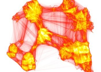 Cool embedding image.jpg