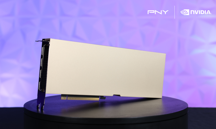 Pny nvidia l40s image 1 0825.png