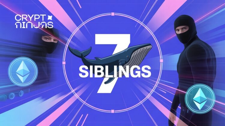 Crypto whale 7 siblings invests 10m in eth.jpeg