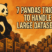 Mlm 7 pandas tricks handle large datasets 1024x683.png