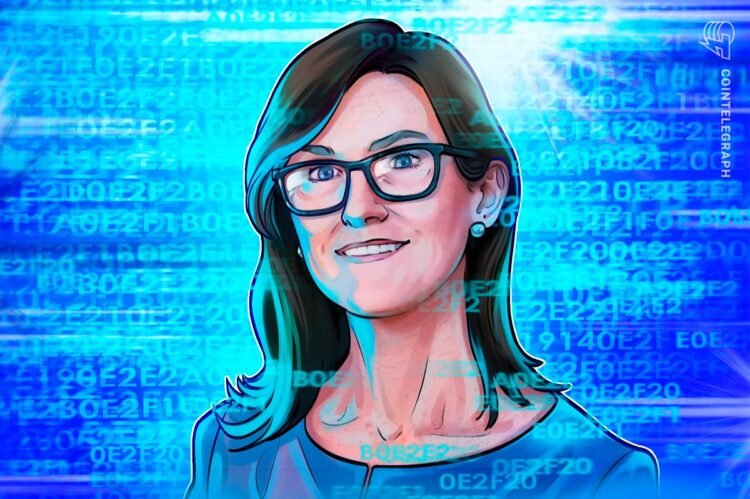 019793fe 0b88 706f 80e3 1613f1814741.jpeg