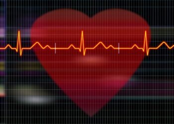 Cardiogram 5781442 1280.jpg