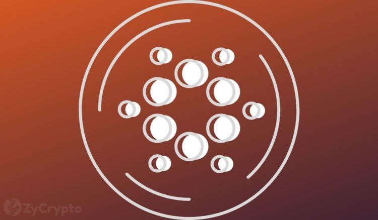 Cardano price skyrockets to 45 or crashes to 0.2 what to expect amid key ada developments.jpg