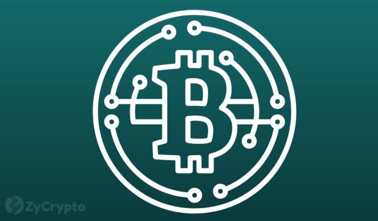 Expert says bitcoin ether xrp solana cardano may face existential crisis if trump leaves office.jpg