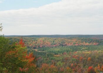 Img 8465 scaled 1.jpeg