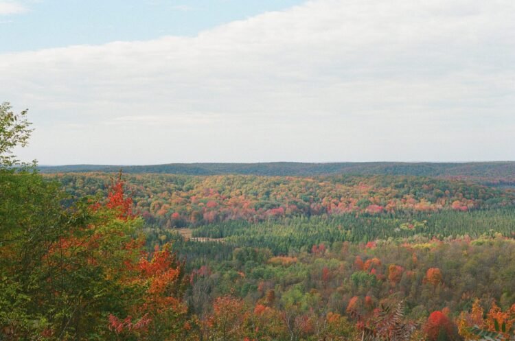 Img 8465 scaled 1.jpeg