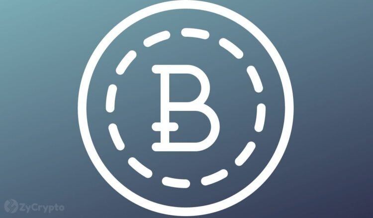 Us lawmaker aoc reveals why she doesnt hold bitcoin and wants her colleagues to do same.jpg