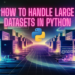 Bala python large datasets.png