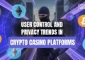 Crypto casinos user control.jpg
