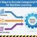 Mlm 3 smart ways encode categorical features machine learning feature.jpeg
